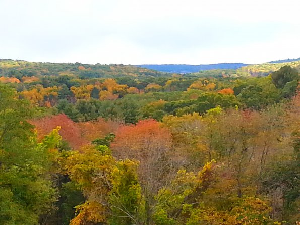 20151018_132032